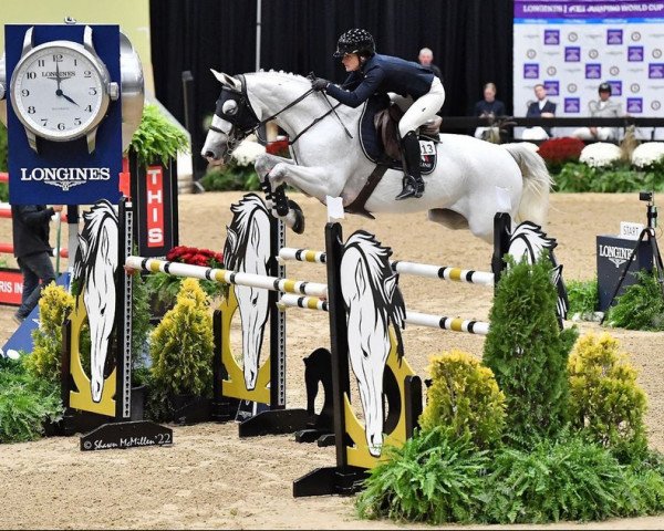 jumper Frosty Hd (Holsteiner, 2011, from Clarimo Ask)