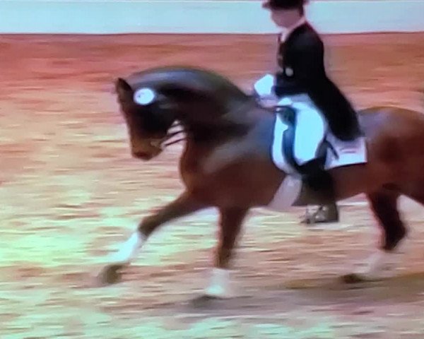 Video of Caprimond
