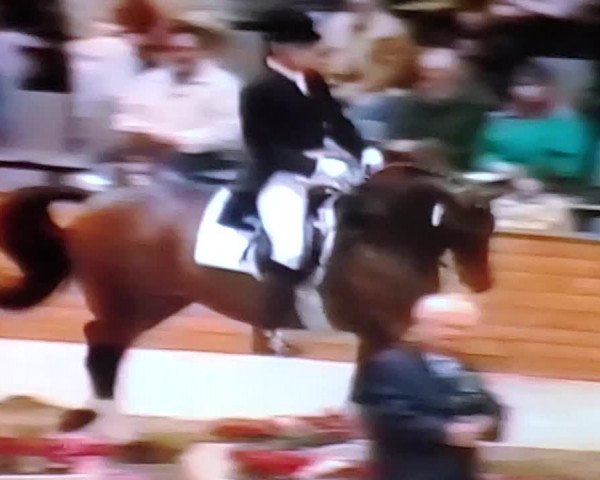 Video of Caprimond