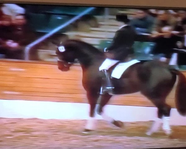 Video von Davignon I