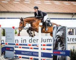 jumper Estelle Easy (Holsteiner, 2012, from Clarimo Ask)