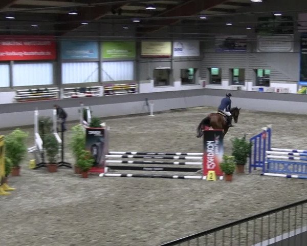 Reitturnier AZL Luhmühlen 2023