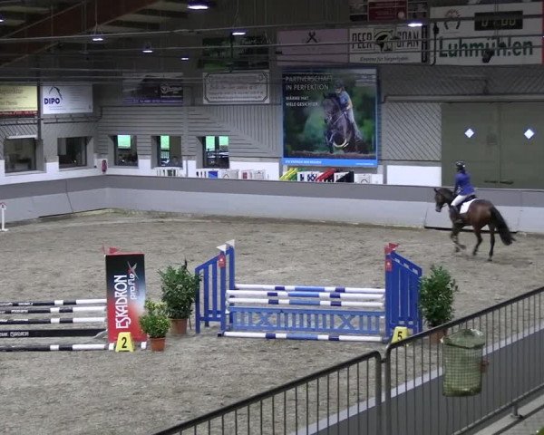 Reitturnier AZL Luhmühlen 2023