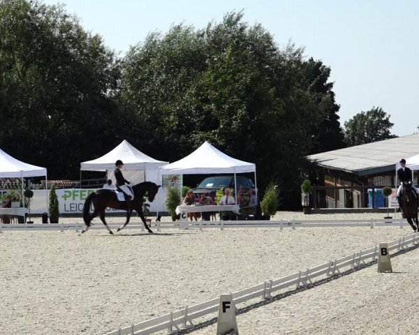 Reitturnier Leichlingen-Witzhelden 2021