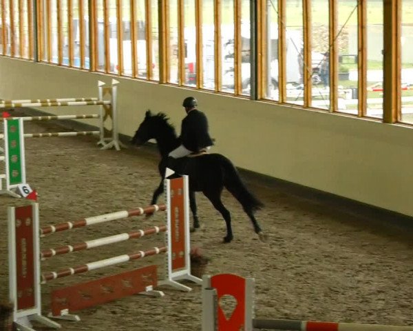 Reitturnier Fleesensee Classic´s 2023