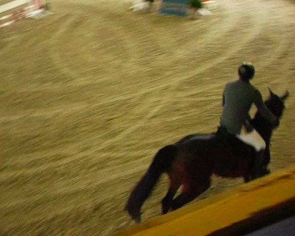 Reitturnier Fleesensee Classic´s 2023