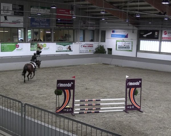 Reitturnier AZL Luhmühlen 2023