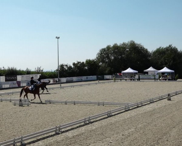 Reitturnier Leichlingen-Witzhelden 2021