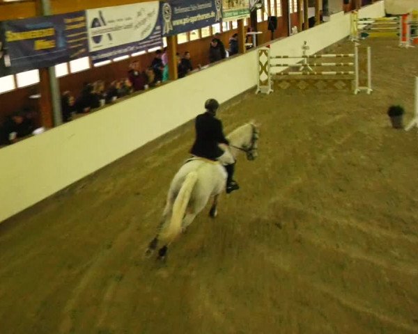 Reitturnier Fleesensee Classic´s 2023