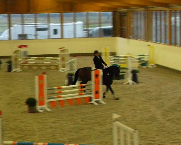 Reitturnier Fleesensee Classic´s 2023