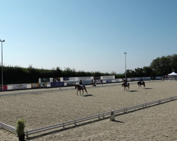 Reitturnier Leichlingen-Witzhelden 2021