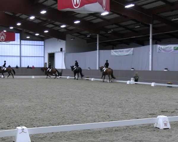 Reitturnier Münster-Handorf 2023
