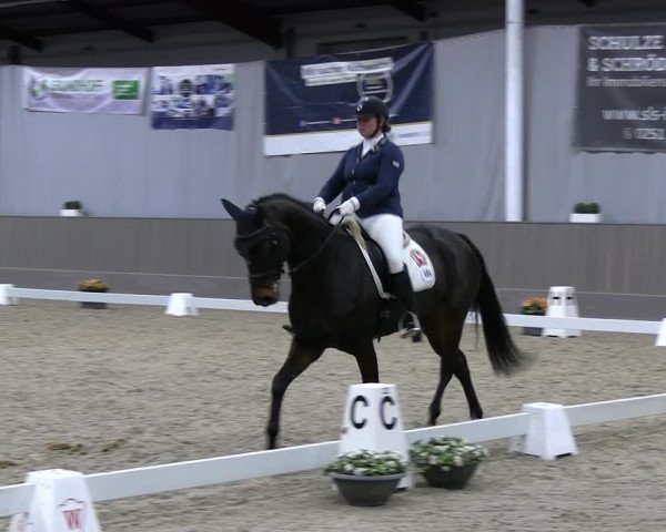 Reitturnier Münster-Handorf 2023