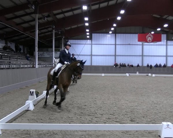 Reitturnier Münster-Handorf 2023