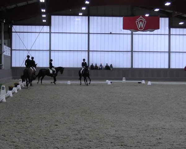 Reitturnier Münster-Handorf 2023