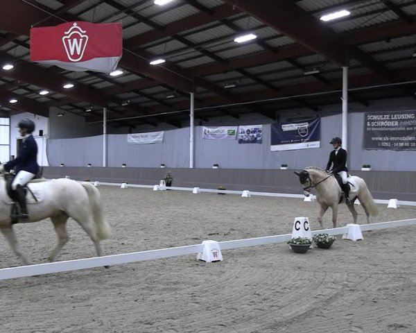 Reitturnier Münster-Handorf 2023