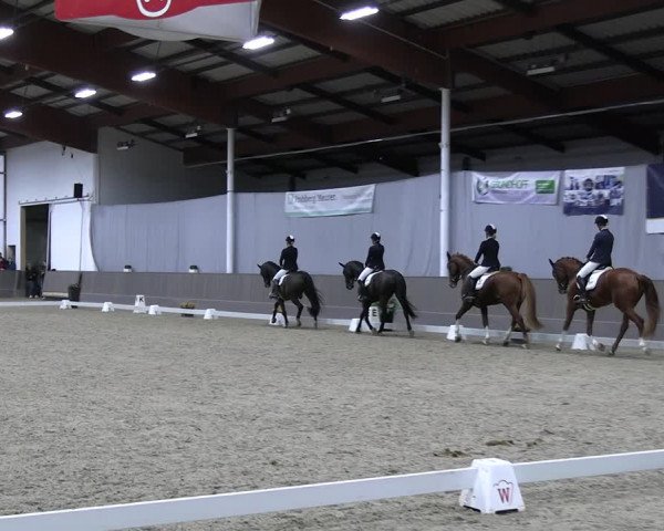 Reitturnier Münster-Handorf 2023