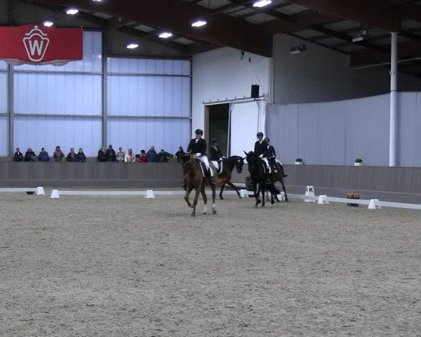 Reitturnier Münster-Handorf 2023