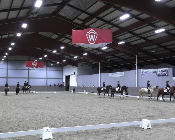 Reitturnier Münster-Handorf 2023