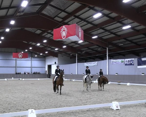 Reitturnier Münster-Handorf 2023