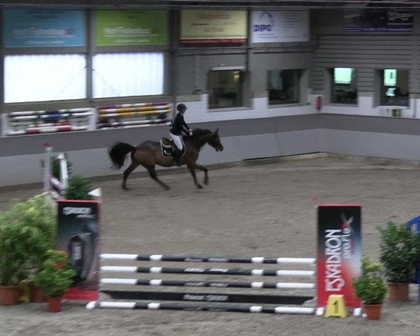 Reitturnier AZL Luhmühlen 2023