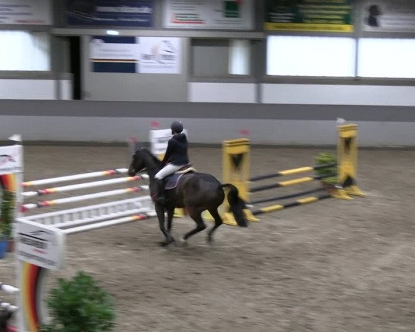 Reitturnier AZL Luhmühlen 2023