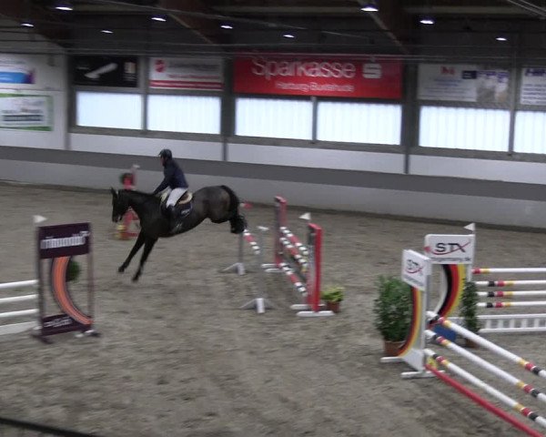 Reitturnier AZL Luhmühlen 2023