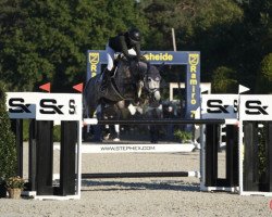 jumper Copyright Cicero Z (Zangersheide riding horse, 2016, from Cicero Z van Paemel)