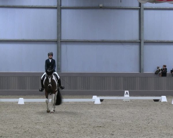 Reitturnier Münster-Handorf 2023