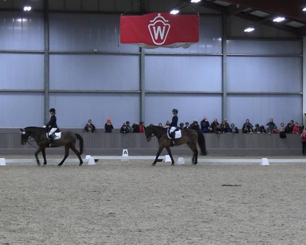 Reitturnier Münster-Handorf 2023