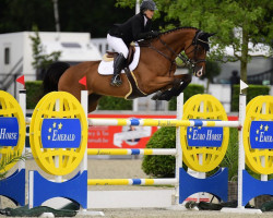 jumper Hector van de Warande (Belgian Warmblood, 2007, from Pkz Contact van de Heffinck)
