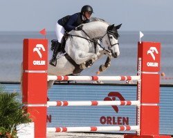 jumper Duchesse de Beaufour (Selle Français, 2013, from Malito de Reve)