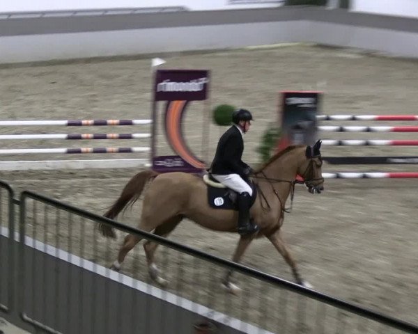 Reitturnier AZL Luhmühlen 2023