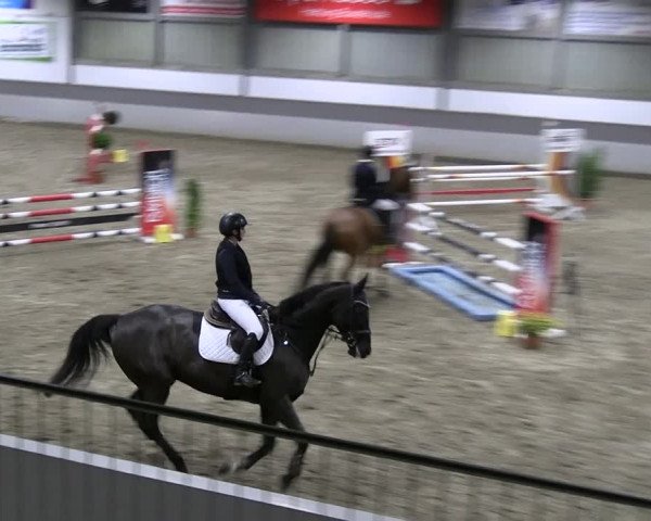 Reitturnier AZL Luhmühlen 2023