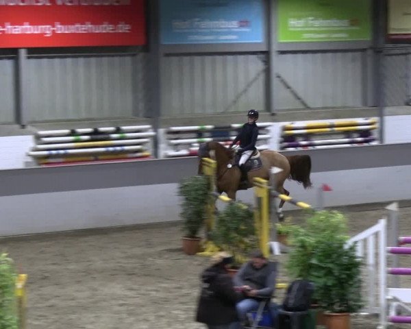 Reitturnier AZL Luhmühlen 2023