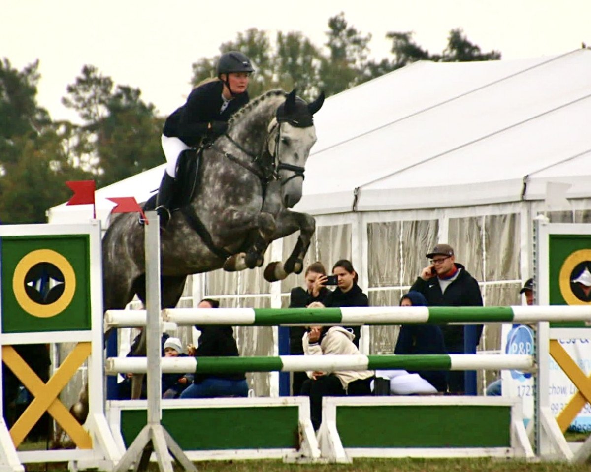 Springpferd Captain Calli (Mecklenburger, 2017, von Come And Fly)