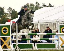 jumper Captain Calli (Mecklenburg, 2017, from Come And Fly)