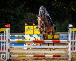 broodmare Blockbuster Bee A (German Sport Horse, 2016, from Blockbuster)