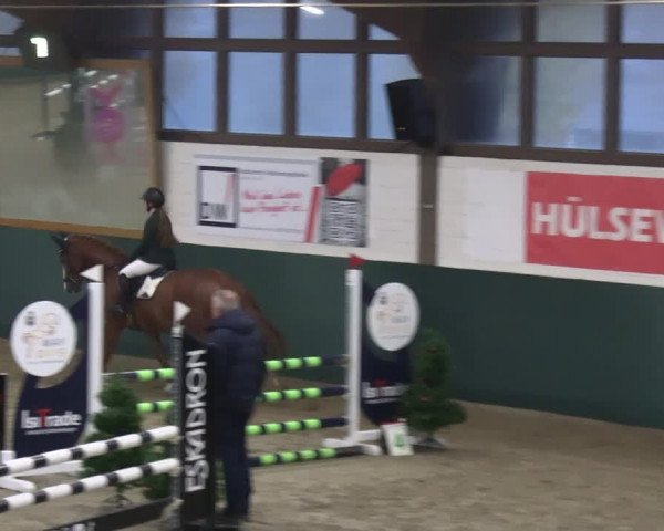 Reitturnier Jöllenbeck-Reitanlage Sonntag 2023