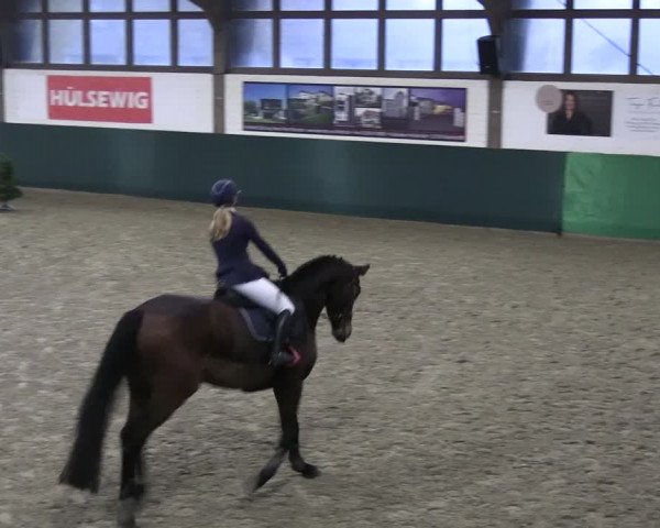 Reitturnier Jöllenbeck-Reitanlage Sonntag 2023