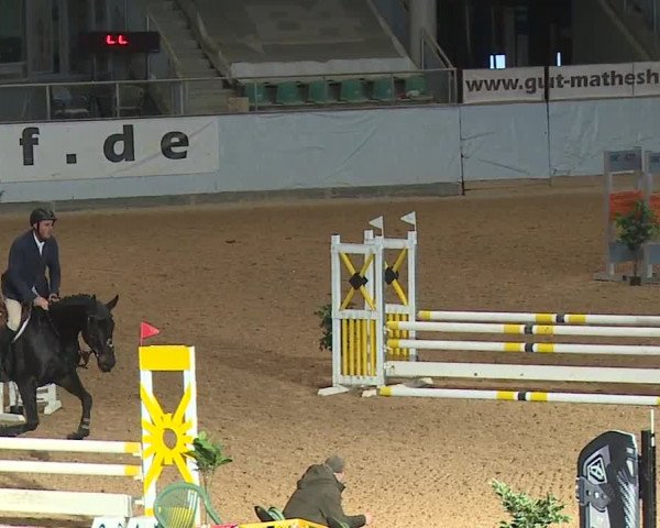 Reitturnier Kreuth/Opf. 2023