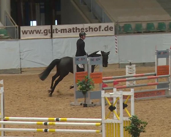 Reitturnier Kreuth/Opf. 2023