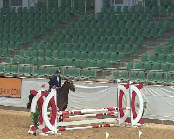 Reitturnier Kreuth/Opf. 2023