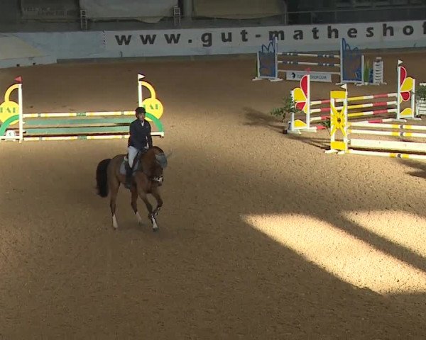 Reitturnier Kreuth/Opf. 2023