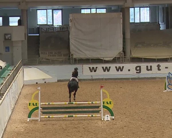 Reitturnier Kreuth/Opf. 2023