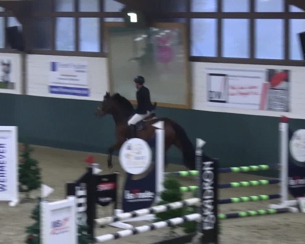 Reitturnier Jöllenbeck-Reitanlage Sonntag 2023