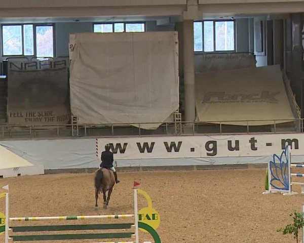 Reitturnier Kreuth/Opf. 2023