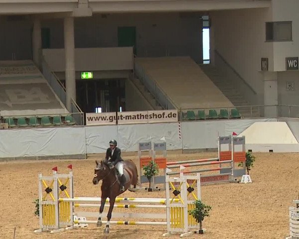 Reitturnier Kreuth/Opf. 2023