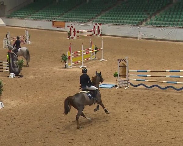 Reitturnier Kreuth/Opf. 2023