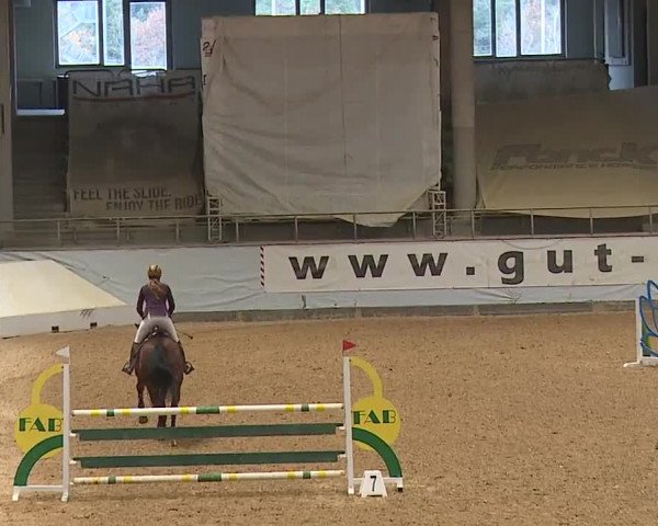 Reitturnier Kreuth/Opf. 2023